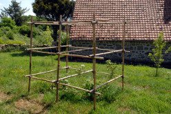 DSC 0089